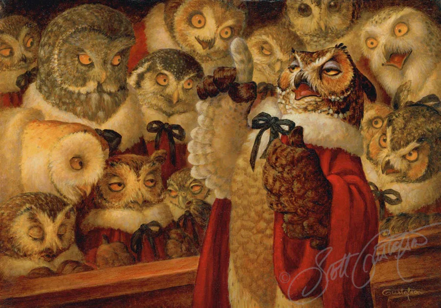 owl.ie
